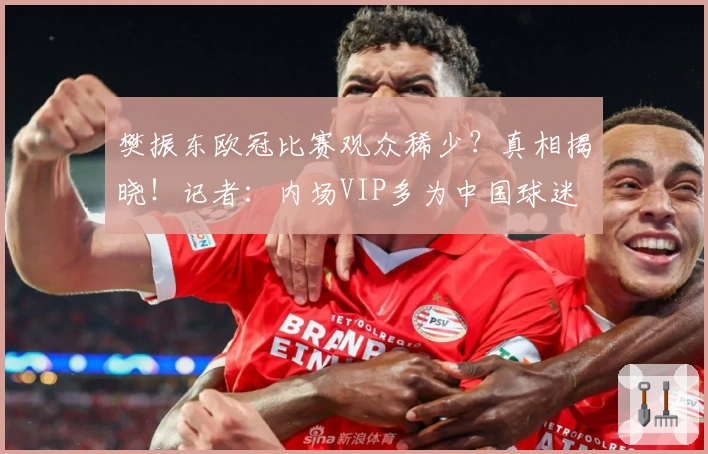 樊振东欧冠比赛观众稀少？真相揭晓！记者：内场VIP多为中国球迷